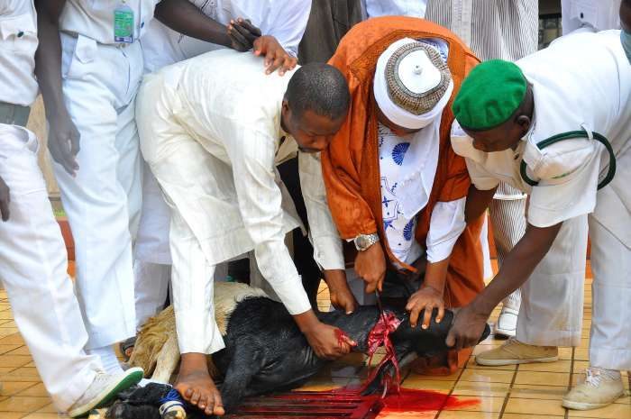 Happy Eid-el-Kabir To All Muslims On Luckywap99 | May Allah Spare Your Life To Witness More Of It